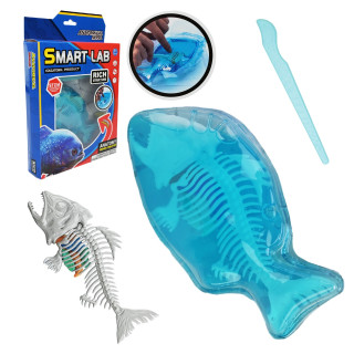 Детский лабораторный набор "Пиранья" 802B, скелет, внутренние органы