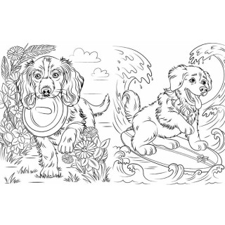 Велика книга розмальовок Коти та собаки 1736021, 64 сторінки