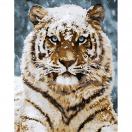 Картина по номерам."Уссурийский тигр" KHO4140, 40х50 см