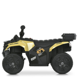 Дитячий електроквадроцикл M 6286EBLR-13 до 20 кг