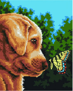 Картина по номерам и алмазная мозаика 2 в 1. Rainbow Art "Ценок и бабочка" GZS1069-RA, 40х50 см               