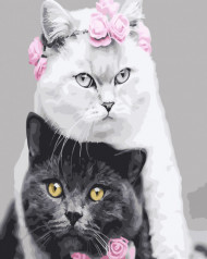 Картина по номерам. Rainbow Art "Белая кошка , черный кот" GX26128-RA                               