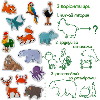 УЦІНКА!!! Набір магнітів Magdum 