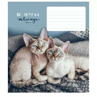 Тетрадь ученическая "Be joyful always" 012-3263K-5 в клетку на 12 листов