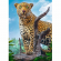 Пазлы "Дикий леопард" Trefl 37332T (500 эл.) опт, дропшиппинг