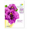 Папір кольоровий Spectra Color 16.4253 А4, 5 кольорів, 50 листів, 160 г/м² - гурт(опт), дропшиппінг 
