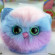 Мягкая коллекционная игрушка-сюрприз Пушистые котята "Doki Doki" #sbabam T015-2019 опт, дропшиппинг
