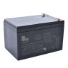 Аккумуляторная батарея универсальная LONG WAY 12V10Ah-BATTERY опт, дропшиппинг