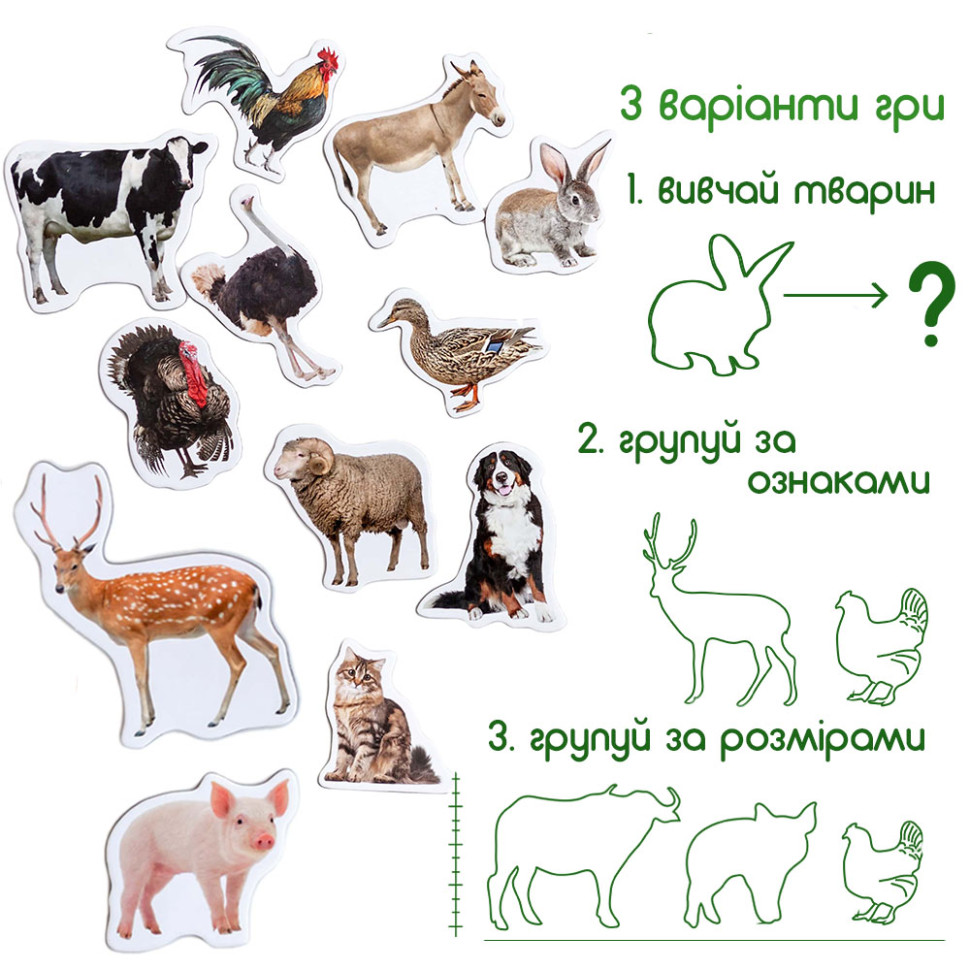 Набор магнитов