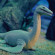 Стретч-іграшка у вигляді тварини Морські доісторичні хижаки Legend of animals #sbabam 128/CN22  - гурт(опт), дропшиппінг 