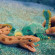 Стретч-игрушка в виде животного Морские доисторические хищники Legend of animals #sbabam 128/CN22  опт, дропшиппинг