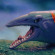 Стретч-игрушка в виде животного Морские доисторические хищники Legend of animals #sbabam 128/CN22  опт, дропшиппинг