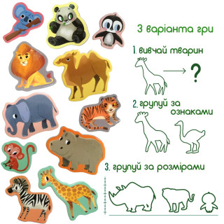 Набір магнітів Magdum 