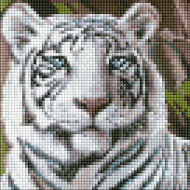 Алмазная мозаика без подрамника "Бенгальский тигр" AMC7681 20х20 см