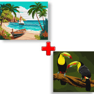Набор картин по номерам 2 в 1 Идейка "Побережье океана" 40х50 KHO2782 и "Экзотические птицы" 40х40 KHO4337