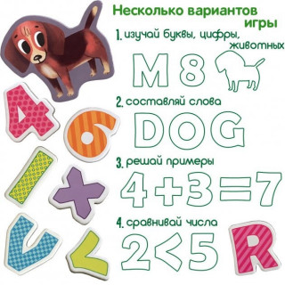 Набір магнітів Magdum 
