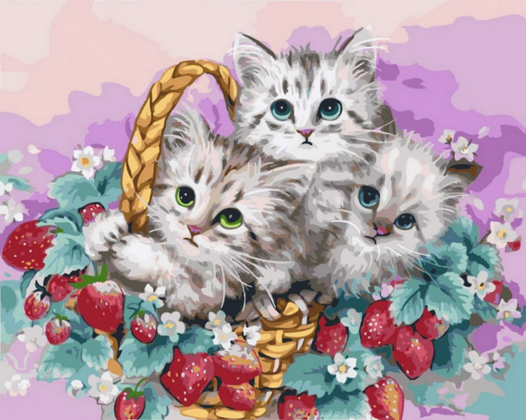 Картина за номерами. Rainbow Art 
