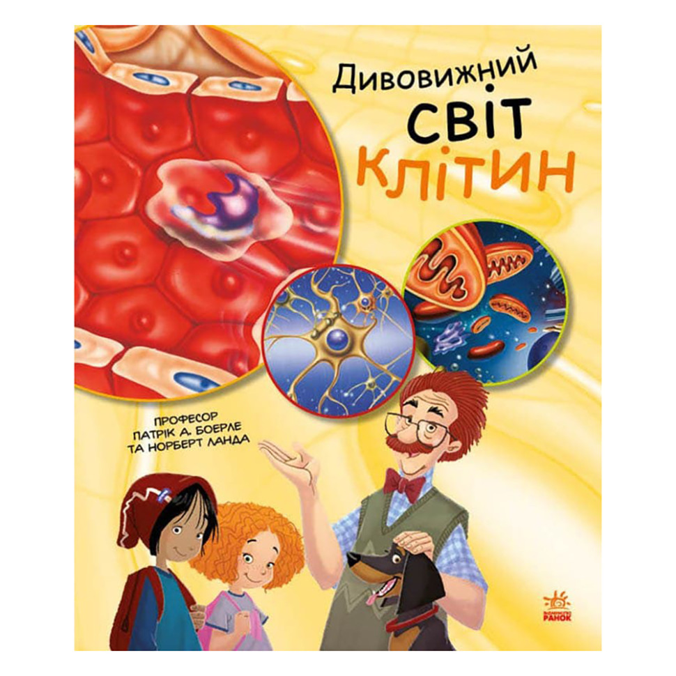 Обучающая книга