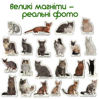 Набор магнитов Magdum "Породы кошек" ML4031-13 EN