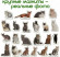 Набор магнитов Magdum "Породы кошек" ML4031-13 EN опт, дропшиппинг