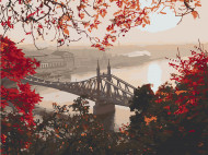 Картина по номерам. Art Craft "Мост свободы. Будапешт" 40х50 см 10560-AC