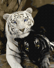 Картина по номерам. Brushme "Пара тигров" GX29792, 40х50 см                                                  