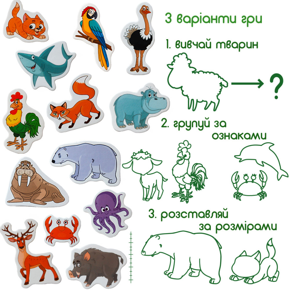 Набор магнитов Magdum 
