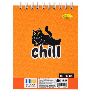 Блокнот для записей "Chill" А6 АП-1711-12, 40 листов, пружина сверху