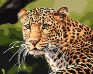 Картина по номерам "Зеленоглазый леопард" Идейка KHO4322 40х50 см                                          