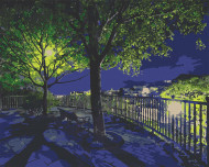 Картина по номерам. Art Craft "Ночной парк" 40х50 см 10585-AC