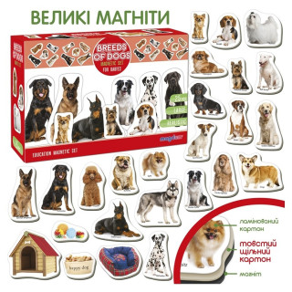 Дитячий розвиваючий набір магнітів 
