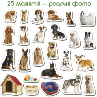 Дитячий розвиваючий набір магнітів 