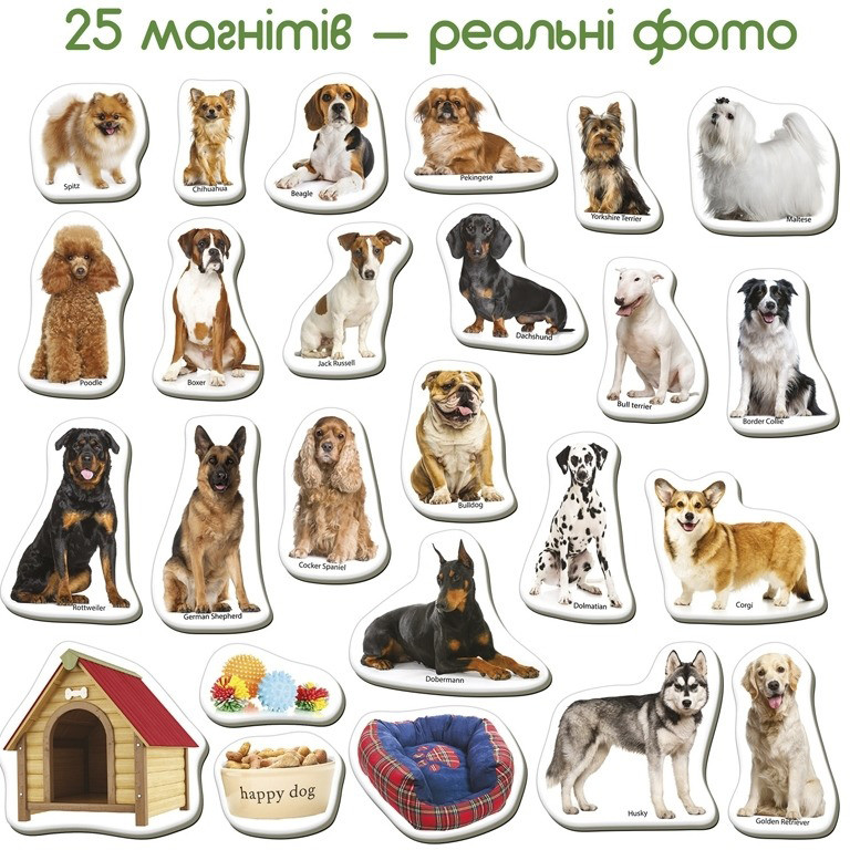 Дитячий розвиваючий набір магнітів 