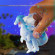 Стретч-іграшка у вигляді міфічної тварини "ЛЕГЕНДА ПРО ДРАКОНІВ" 61/CN23 - гурт(опт), дропшиппінг 
