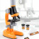 Мікроскоп іграшковий SHANTOU 1013 збільшення 100x, 400x, 1200x - гурт(опт), дропшиппінг 