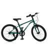 Велосипед детский LIGHTY MB 20LIGHTY RAIN FOREST, колеса 20 дюймов опт, дропшиппинг