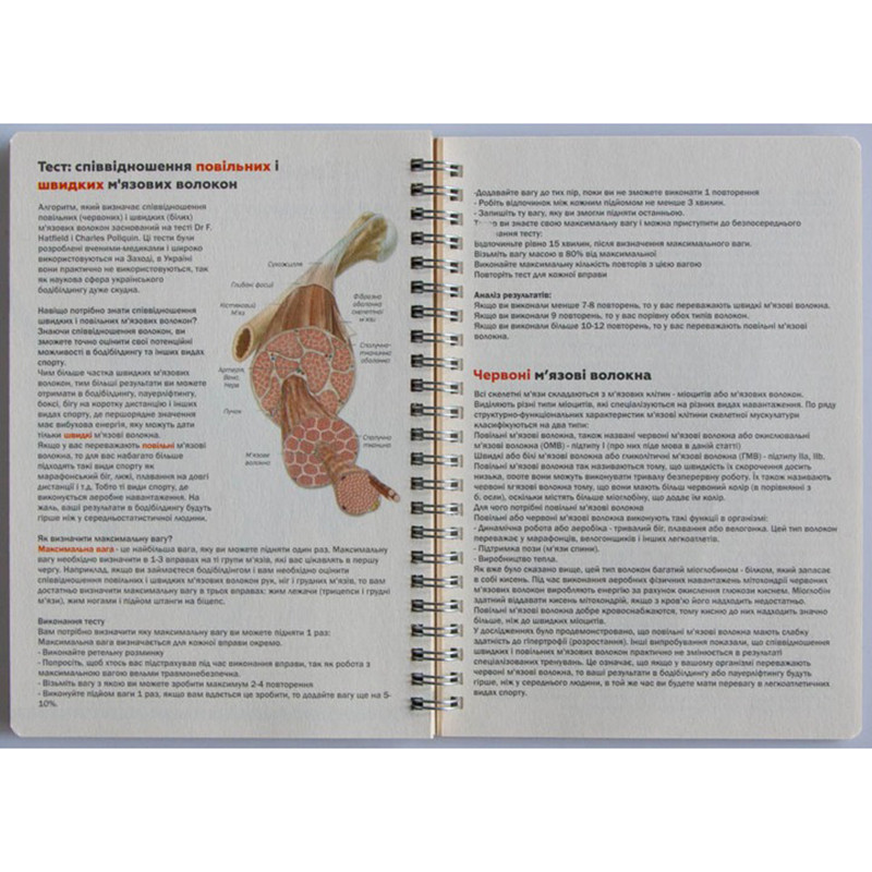 Дневник тренировок 