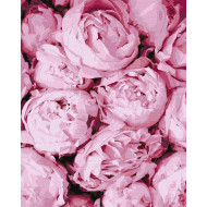 Картина по номерам "Розовая нежность" Идейка KHO2998 40х50 см