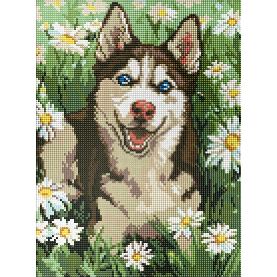 Алмазная мозаика 