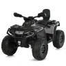 Дитячий електромобіль Квадроцикл M 6080EL-11(24V) до 50 кг - гурт(опт), дропшиппінг 