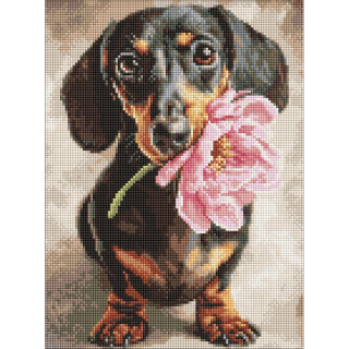 Алмазная мозаика "Песик и сюрприз" ©art_selena_ua AMO20219, 30х40 см