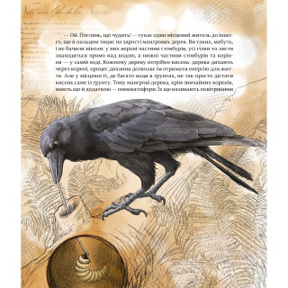 Дитяча книжка 