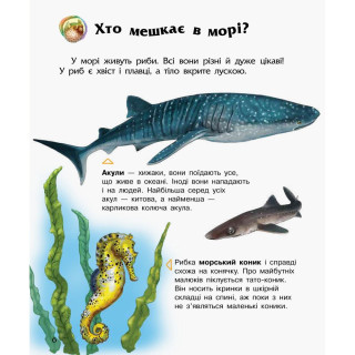 Энциклопедия дошкольника Океаны и моря 614055 для самых маленьких
