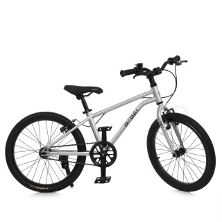 Велосипед детский LIGHTY MB 20LIGHTY SILVER, колеса 20 дюймов