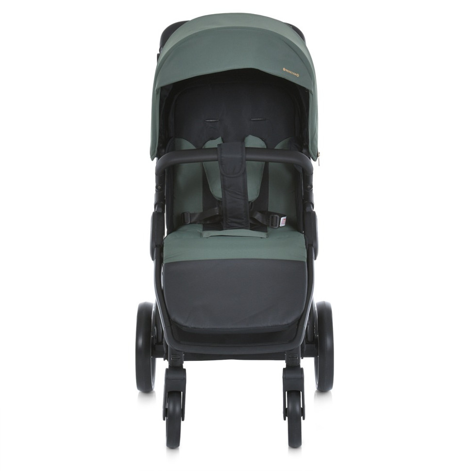 Коляска дитяча прогулянкова DYNAMIC PRO ME 1053-3 Forest Green - гурт(опт), дропшиппінг 