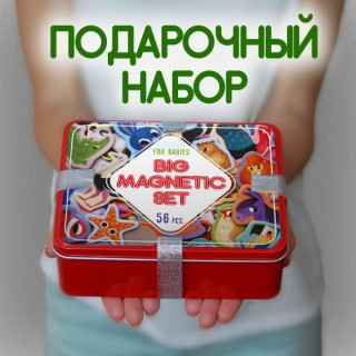 Набір магнітів Magdum 