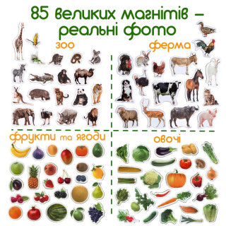 Набір магнітів Magdum 