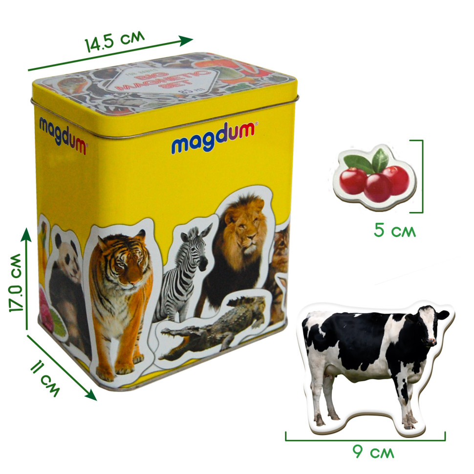 Набор магнитов Magdum 