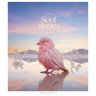 Тетрадь общая «Pastel palette» 096-3329L-4 в линию, 96 листов опт, дропшиппинг