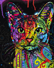 Картина по номерам. Brushme " Абиссинская кошка " GX9868, 40х50 см                                            